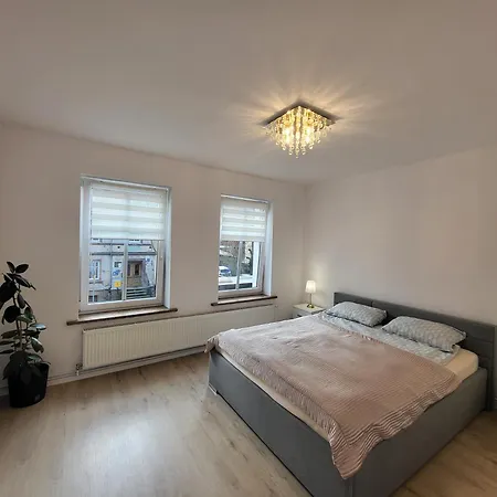 Daisy Свебодзице