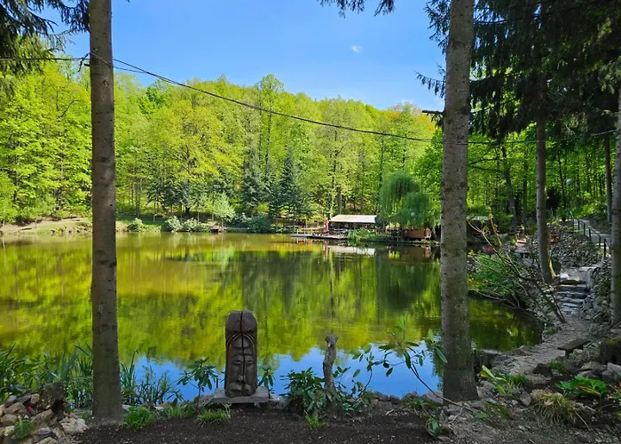 Daisy Свебодзице