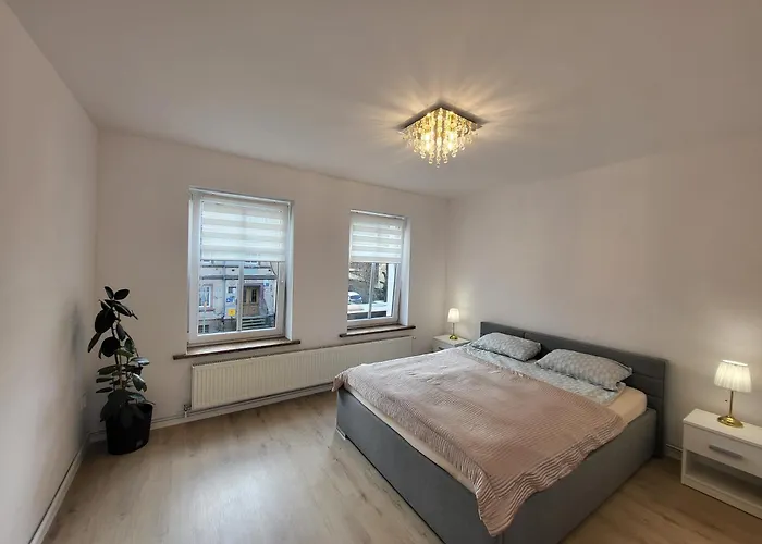 Daisy Свебодзице